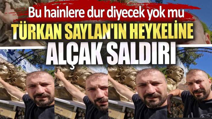 Türkan Saylan'ın heykeline alçak saldırı. Bu hainlere dur diyecek yok mu