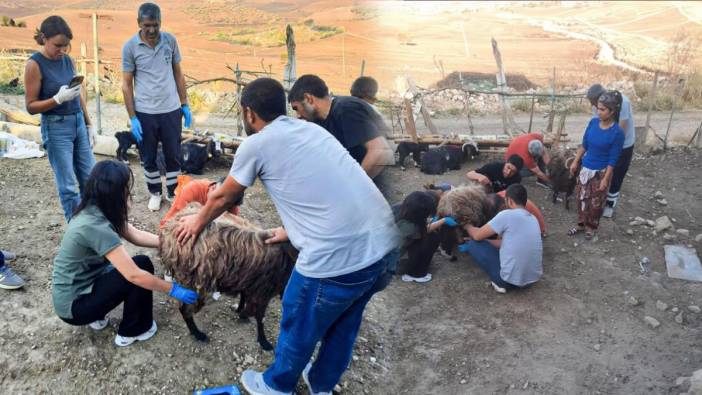 Mardin ve Diyarbakır’ın yangın bölgelerine veteriner ve itfaiye desteği