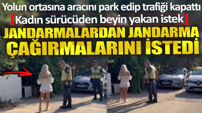 Kadın sürücüden beyin yakan istek. Jandarmalardan jandarma çağırmalarını istedi