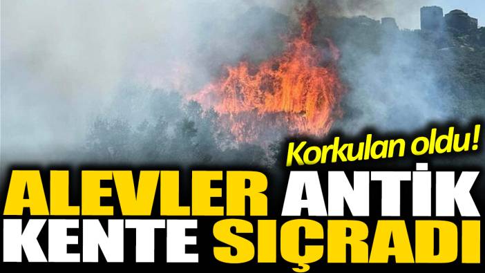 Çanakkale'de korkulan oldu! Alevler antik kente ulaştı