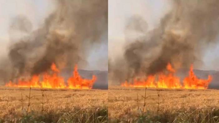 Bursa'da buğday tarlasında yangın