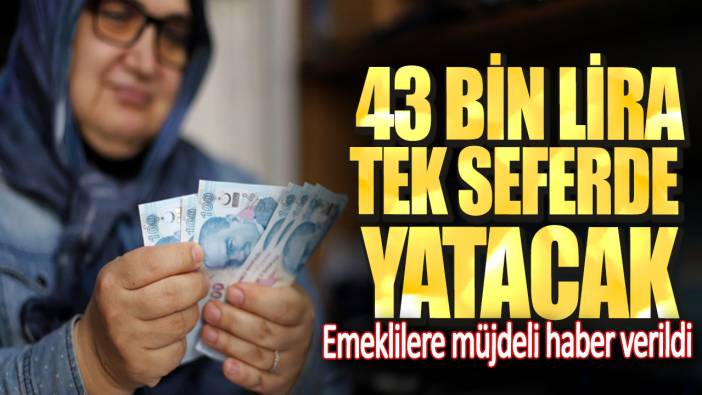 Emeklilere müjdeli haber verildi. 43 bin lira tek seferde yatacak