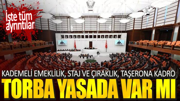 Kademeli emeklilik staj ve çıraklık taşerona kadro torba yasada var mı. İşte tüm ayrıntılar