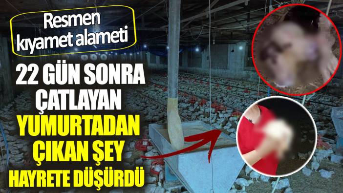 Resmen kıyamet alameti.  22 gün sonra çatlayan yumurtadan çıkan şey hayrete düşürdü