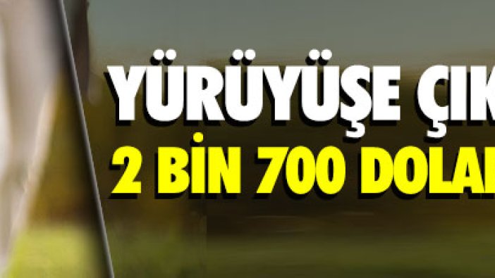 Köpeğini yürüyüşe çıkarmayan 2 bin 700 dolar ödeyecek!