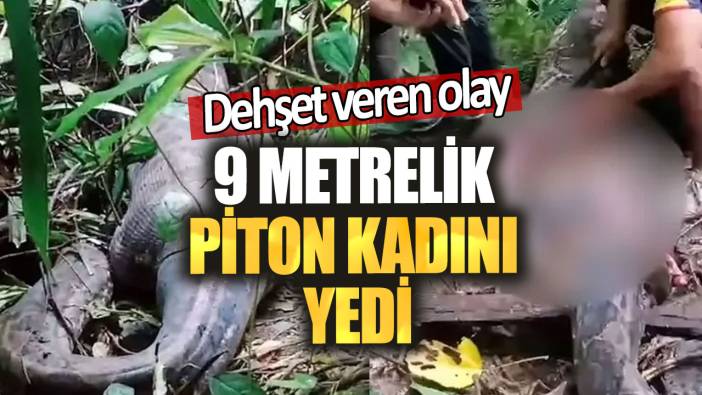 9 metrelik piton kadını yedi. Dehşet veren olay