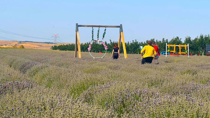 Tekirdağ 4'üncü Lavanta günleri başlıyor