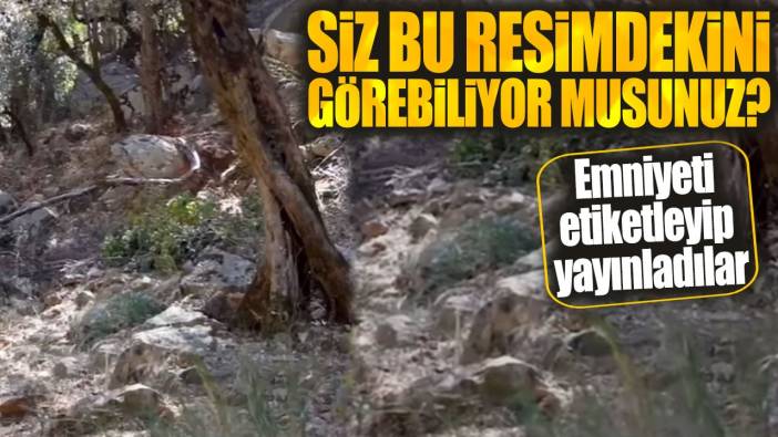 Siz bu resimdekini görebiliyor musunuz? Emniyeti etiketleyip yayınladılar