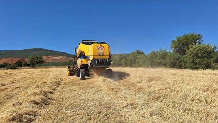 Rekolte yüz güldürdü. Fiyat düşündürdü