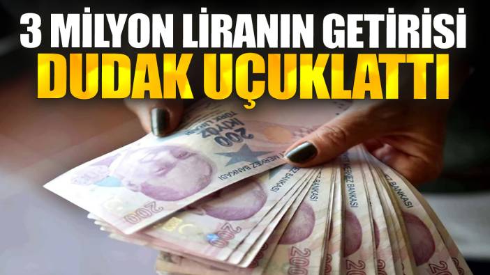 3 milyon liranın getirisi dudak uçuklattı