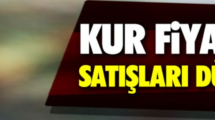 Kur fiyatları satışları düşürdü!