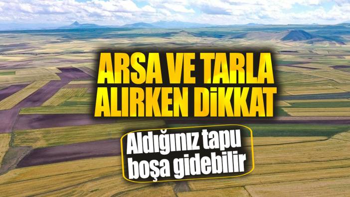 Arsa ve tarla alırken dikkat: Aldığınız tapu boşa gidebilir