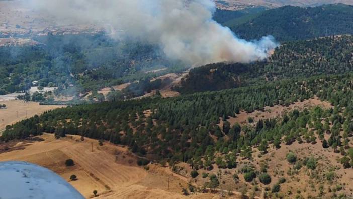 Balıkesir'de ormanlık alanda yangın