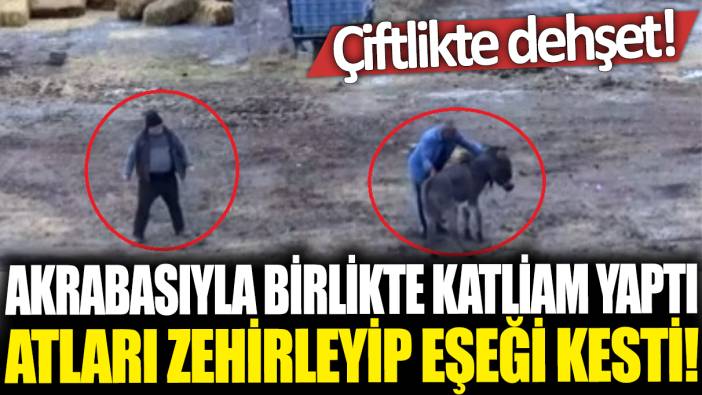 Akrabasıyla birlikte katliam yaptı: Çiftlikte dehşet! Atları zehirleyip eşeği kesti