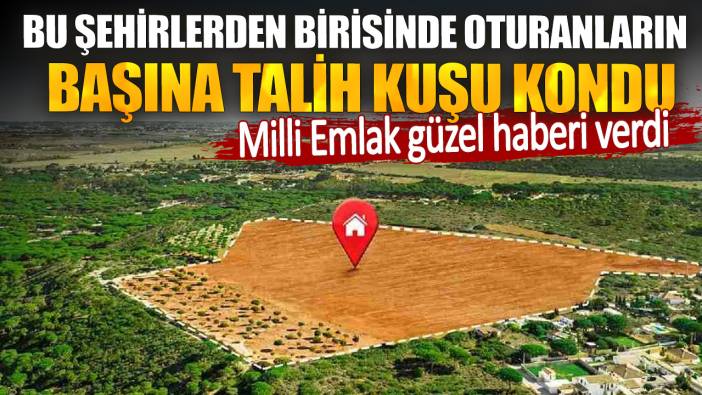 Bu şehirlerden birisinde oturanların başına talih kuşu kondu. Milli Emlak güzel haberi verdi