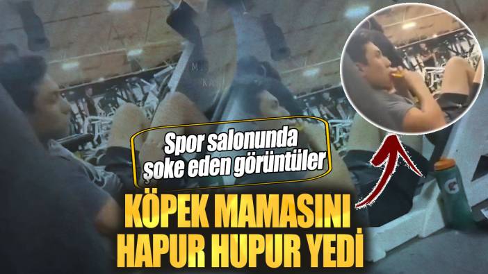 Köpek mamasını hapur hupur yedi. Spor salonunda şoke eden görüntüler