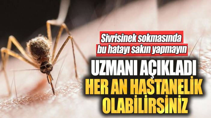 Sivrisinek sokmasında bu hatayı sakın yapmayın. Uzmanı açıkladı her an hastanelik olabilirsiniz