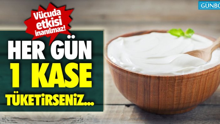 Her gün 1 kase tüketirseniz... Vücuda etkisi inanılmaz!