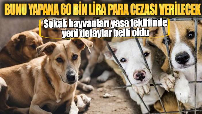 Sokak hayvanları yasasında yeni detaylar belli oldu.  Bunu yapana 60 bin lira para cezası verilecek