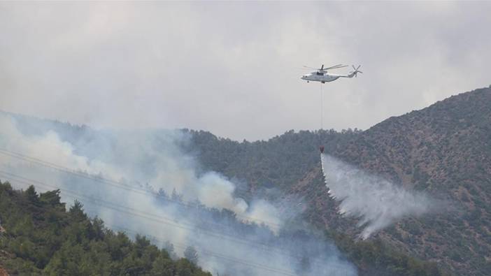 Orman yangınlarını tahmin eden yapay zeka geliştirildi