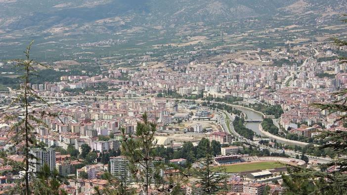 Pencereye sıkışan kumru yavrusu kurtarıldı