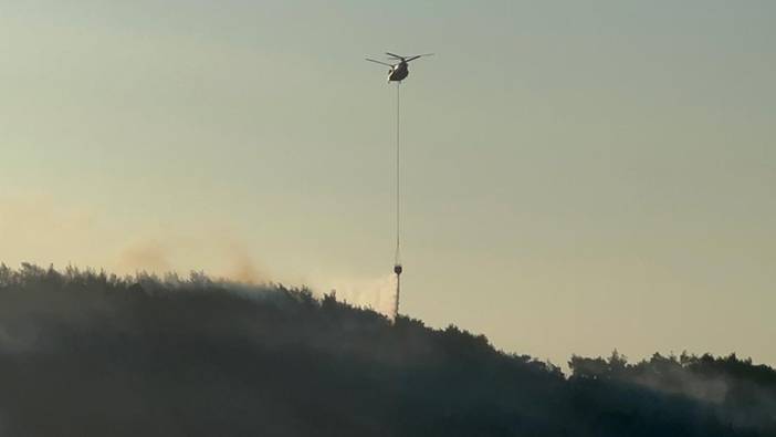 Manisa'nın Kırkağaç ilçesinde çıkan orman yangınına müdahale ediliyor