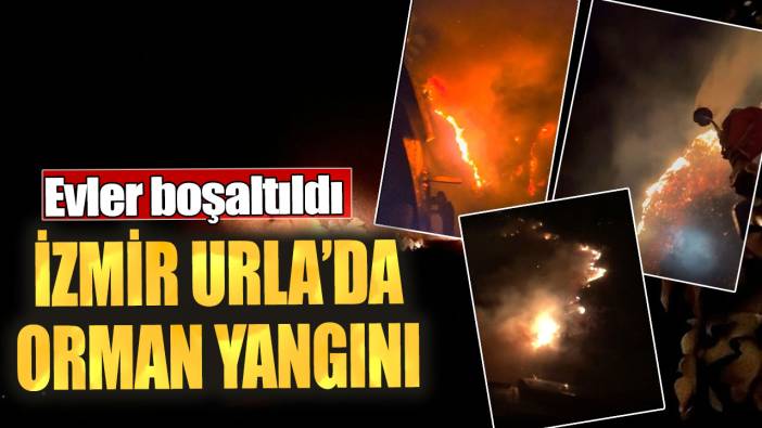 İzmir Urla’da orman yangını! Evler boşaltıldı