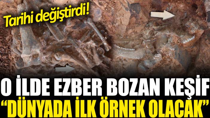 'Dünyadaki ilk örnek olacak' O ilde ezber bozan keşif! Tarihi değiştirdi