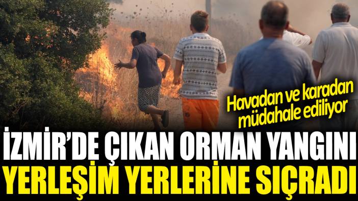 İzmir'de çıkan orman yangını yerleşim yerlerine sıçradı: Alevlere havadan ve karadan müdahale ediliyor