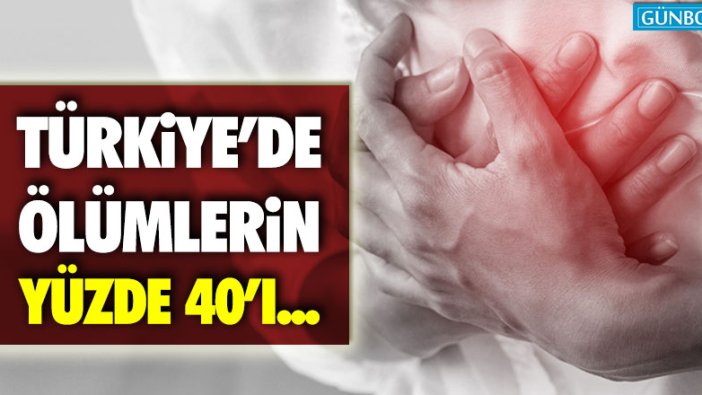 Prof. Dr. Mustafa Kemal Erol: Ölümlerin yüzde 40'ı...