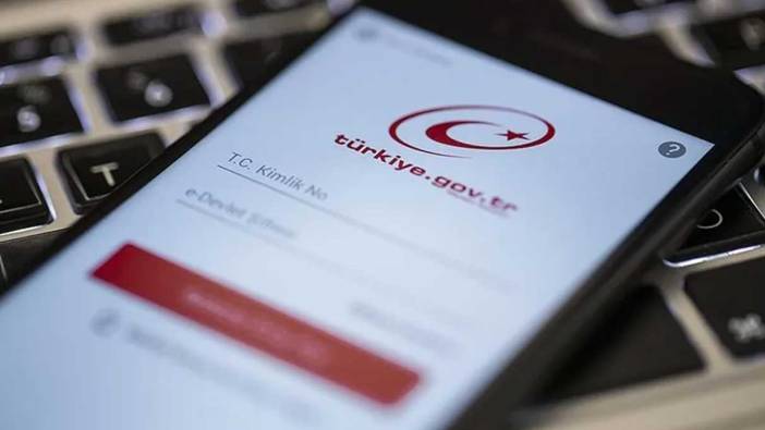 e-Devlet'te en çok ziyaret edilen uygulama ortaya çıktı