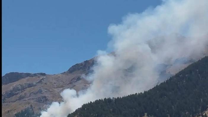 Kahramanmaraş'ta orman yangını söndürüldü