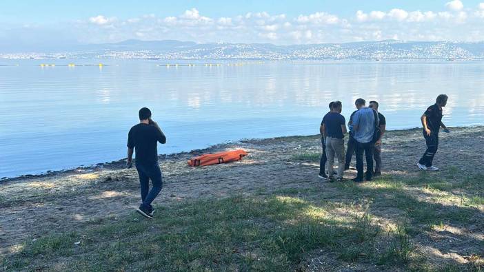 Sahile gidenler kıyıya vuranı görünce dondu kaldı