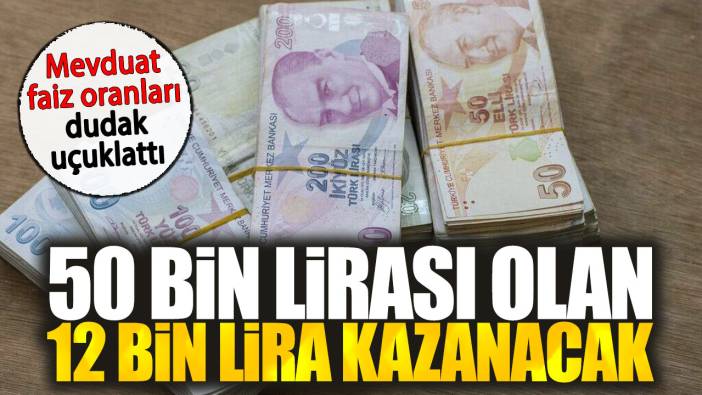 50 bin lirası olan 12 bin lira kazanacak. Mevduat faiz oranları dudak uçuklattı