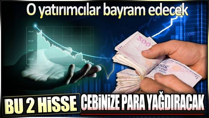 İki dev şirket halka arz ediliyor. SPK onayladı