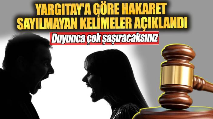 Yargıtay'a göre hakaret sayılmayan kelimeler açıklandı: Duyunca çok şaşıracaksınız