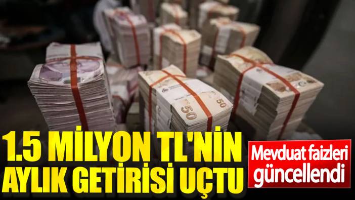 Mevduat faizleri güncellendi. 1.5 milyon TL'nin aylık getirisi uçtu