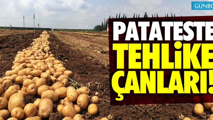 CHP'li Gürer: Elektrik faturası gören çiftçi 'yandım' diyor