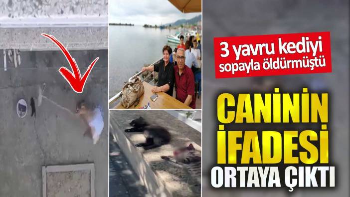 3 yavru kediyi sopayla öldürmüştü. Caninin ifadesi ortaya çıktı