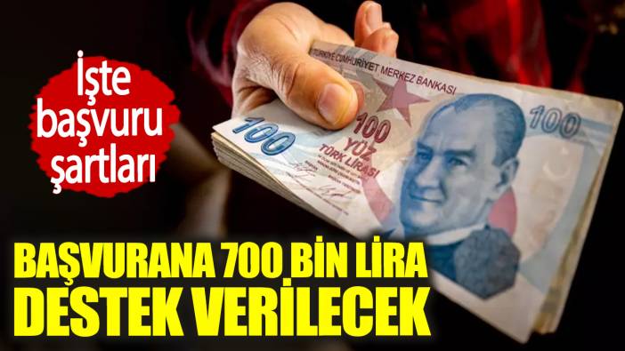 Başvurana 700 bin lira destek verilecek. İşte başvuru şartları