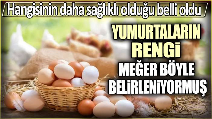 Yumurtaların rengi meğer böyle belirleniyormuş. Hangisinin daha sağlıklı olduğu belli oldu