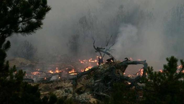 Manisa ve Uşak'taki yangınlar kontrol altına alındı