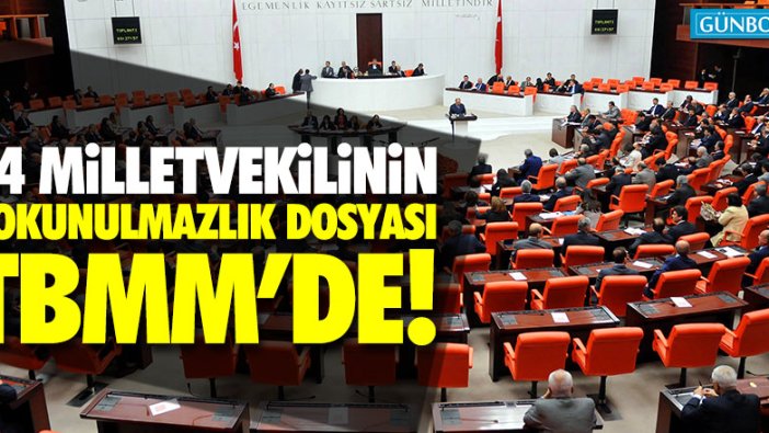 44 milletvekilinin dosyası TBMM'de