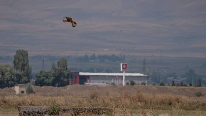 30 farklı parçaya bölündü! Duyan koşuyor! Tüm kent ayağa kalktı