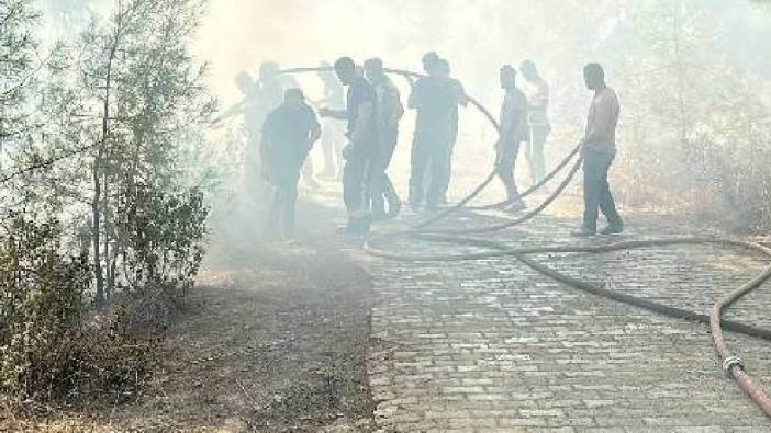 Antalya'da orman yangını!