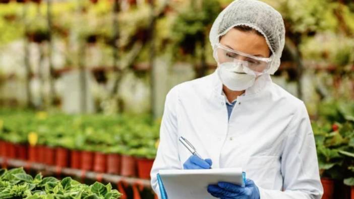 Bize neler neler yedirdiler öyle: Bakanlık hileli ürünler listesi yayınladı: Sucuk, zeytinyağı, kekik, ayran...