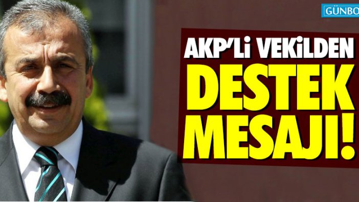 AKP'li Yeneroğlu'ndan Sırrı Süreyya Önder'e destek mesajı