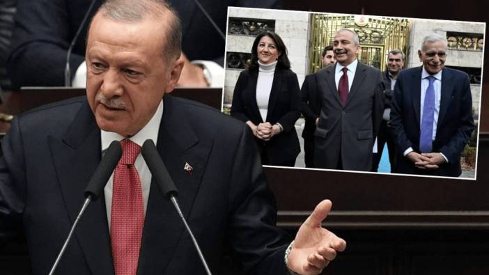 İmralı heyeti, Erdoğan'la görüşmek için randevu talep etti