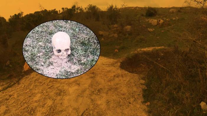 Korkunç olay! Ağaçlık alanda insana ait kafatası bulundu
