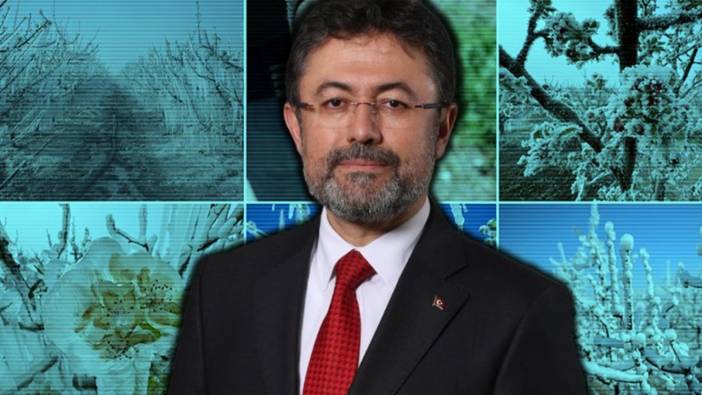 Zirai don tarlaları vurdu, bakan çiftçiye kızdı